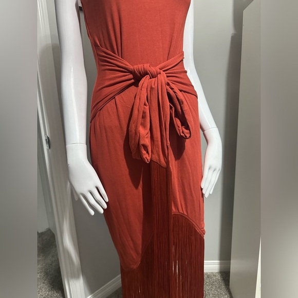 Vici Terracotta Fringe Maxi Dress - Picture 9 of 10